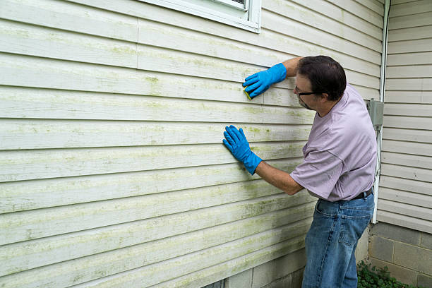 Siding Contractor